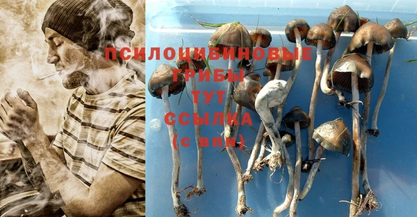 амф Покров