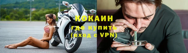 стафф Покачи