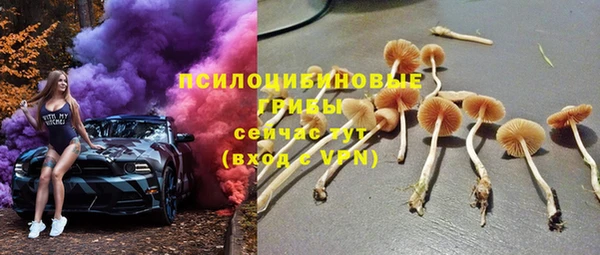 стафф Покачи