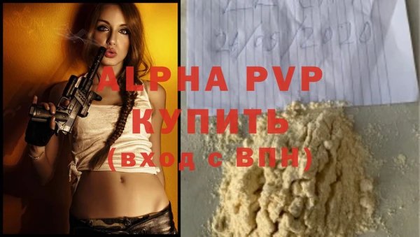прущие грибы Одинцово