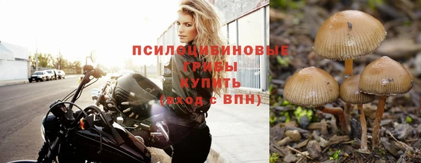 кокаин премиум Покровск