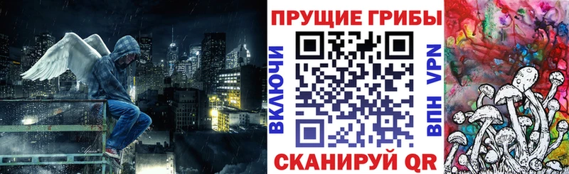 Галлюциногенные грибы Cubensis  Рассказово 
